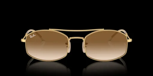 Ray-Ban 0RB3719 001/51 Solglasögon
