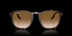 Ray-Ban 0RB2203 902/51 Solglasögon