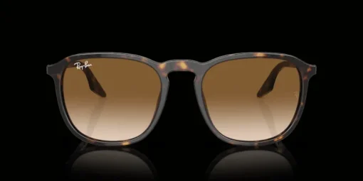Ray-Ban 0RB2203 902/51 Solglasögon