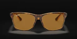Ray-Ban 0RB4181 710/83 Solglasögon