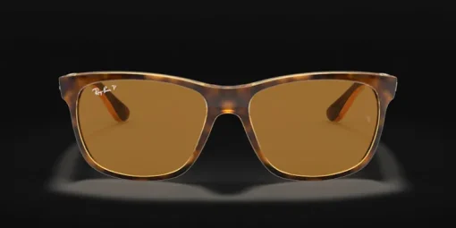 Ray-Ban 0RB4181 710/83 Solglasögon