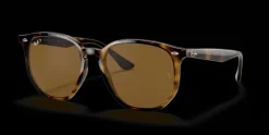 Ray-Ban 0RB4306 710/83 Solglasögon