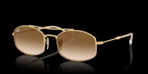 Ray-Ban 0RB3719 001/51 Solglasögon