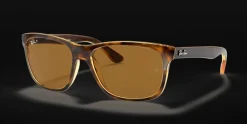 Ray-Ban 0RB4181 710/83 Solglasögon