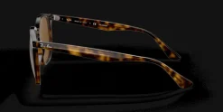 Ray-Ban 0RB4306 710/83 Solglasögon