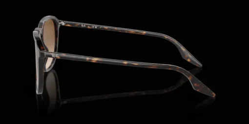 Ray-Ban 0RB2203 902/51 Solglasögon