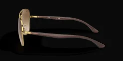 Ray-Ban 0RB3683 001/51 Solglasögon