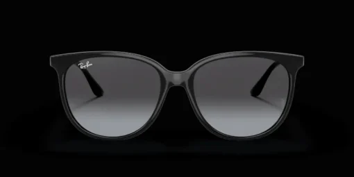 Ray-Ban 0RB4378 601/8G Solglasögon