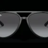 Ray-Ban 0RB4376 601/8G Solglasögon
