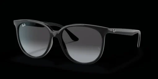 Ray-Ban 0RB4378 601/8G Solglasögon