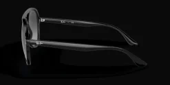 Ray-Ban 0RB4376 601/8G Solglasögon