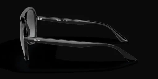 Ray-Ban 0RB4376 601/8G Solglasögon