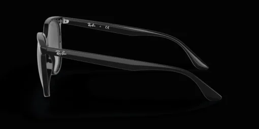 Ray-Ban 0RB4378 601/8G Solglasögon