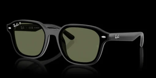 Ray-Ban 0RB4458D 601/9A Solglasögon