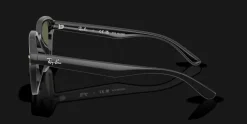 Ray-Ban 0RB4458D 601/9A Solglasögon