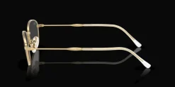 Ray-Ban 0RX3749V 2500 Glasögonbåge