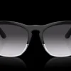 Ray-Ban Steve 0RB4487 66308G Solglasögon