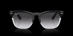 Ray-Ban Steve 0RB4487 66308G Solglasögon