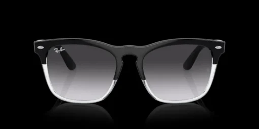 Ray-Ban Steve 0RB4487 66308G Solglasögon