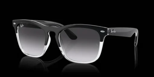 Ray-Ban Steve 0RB4487 66308G Solglasögon