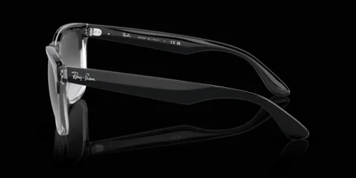 Ray-Ban Steve 0RB4487 66308G Solglasögon