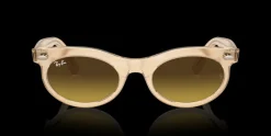 Ray-Ban Wayfarer Oval Change RB2242 138685 Solglasögon