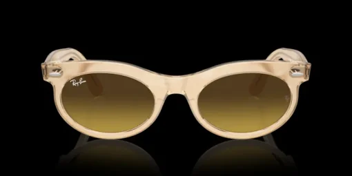 Ray-Ban Wayfarer Oval Change RB2242 138685 Solglasögon