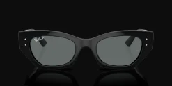 Ray-Ban Zena Bio-Based RB4430 667781 Solglasögon