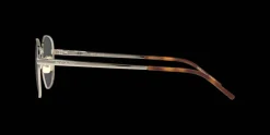 Saint Laurent SL 555 OPT 4817 Glasögonbåge