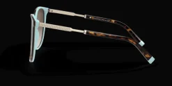 Tiffany & Co. 0TF4184 81343B Solglasögon