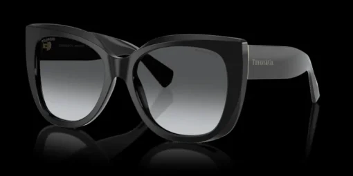 Tiffany & Co. 0TF4229 8001T3 Solglasögon