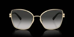 Tiffany & Co. 0TF3102B 60213C Solglasögon