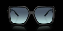 Tiffany & Co. 0TF4206U 80019S Solglasögon