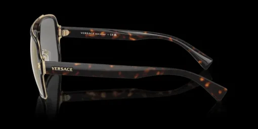 Versace 0VE2199 12524T Solglasögon